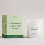 Afternoon In Central Park