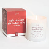 Apple Picking in the Hudson Valley