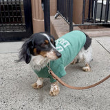Green UWS Dog Sweatshirt