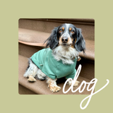 Green UWS Dog Sweatshirt