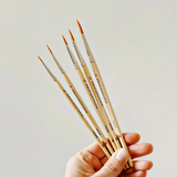Emily Lex Studio Paint Brushes
