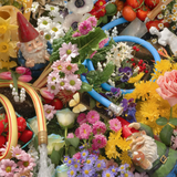 Bloom Boom Puzzle