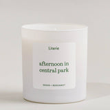 Afternoon In Central Park
