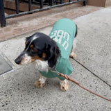 Green UWS Dog Sweatshirt
